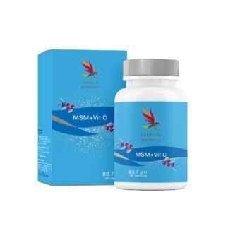 MSM + Vitamin C