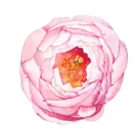 0ed3d3373e087b44b370bd3e08d3908aff8b61ba