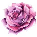 3865cf3e402a0a501da7ec7825b17c7ad8a14316