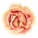 42dec05f4a38c534726f2702a61091e44e2ddf90