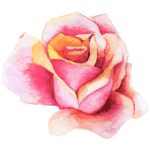 df54d7a3bd23695d542ba9d7ca959580d2aa6e1d